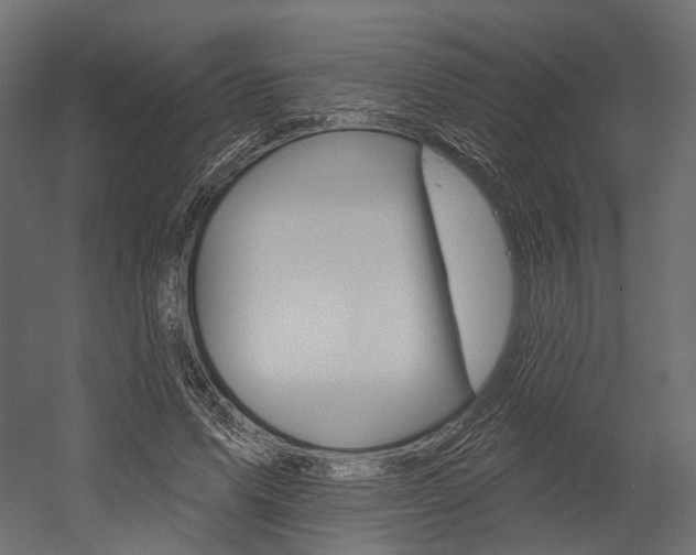 X0000054460591200507291023