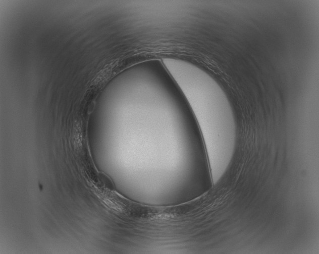 X0000054460593200507291023