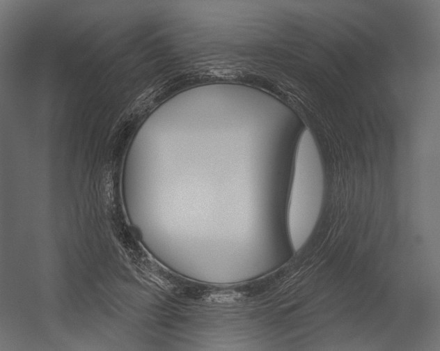 X0000054460595200507291023