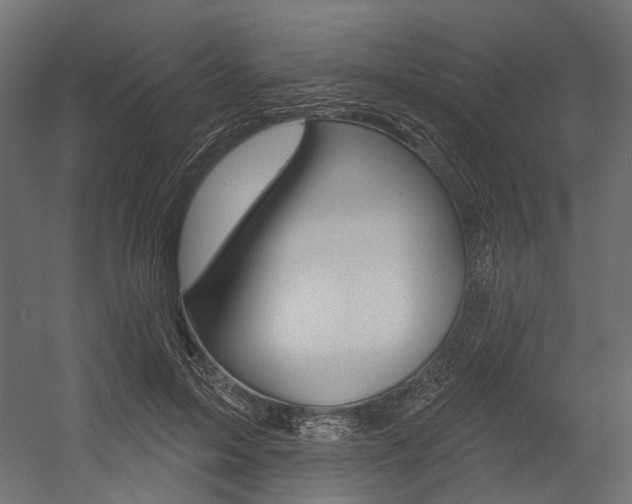 X0000054460599200507291023