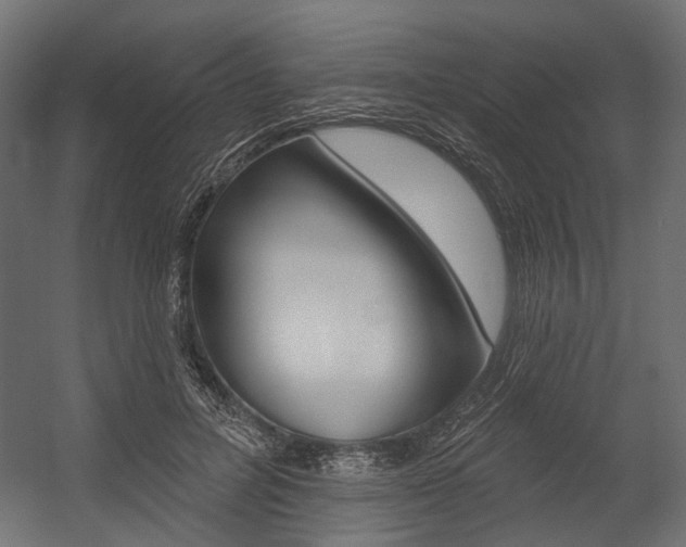 X0000054460600200507291023