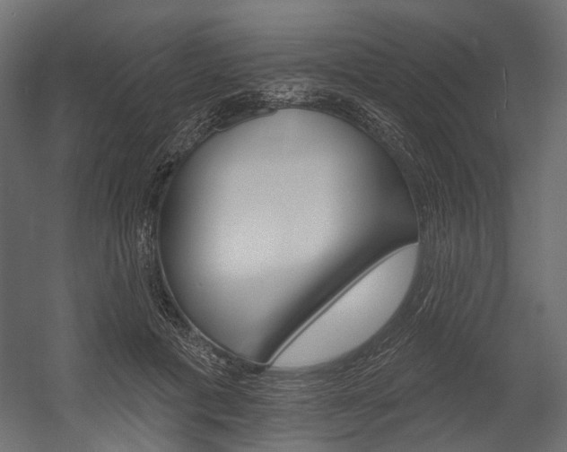 X0000054460601200507291023