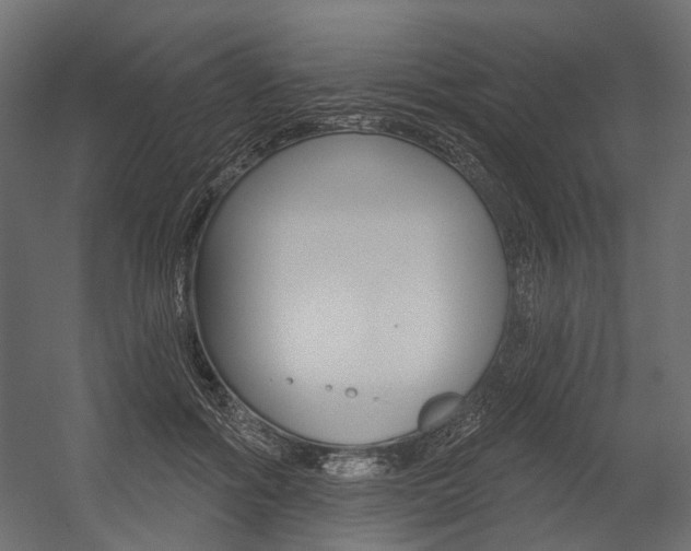 X0000054460602200507291023