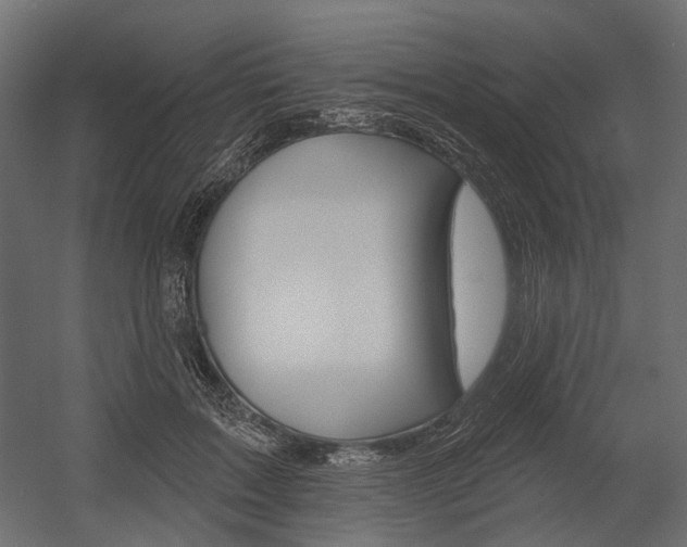 X0000054460603200507291023