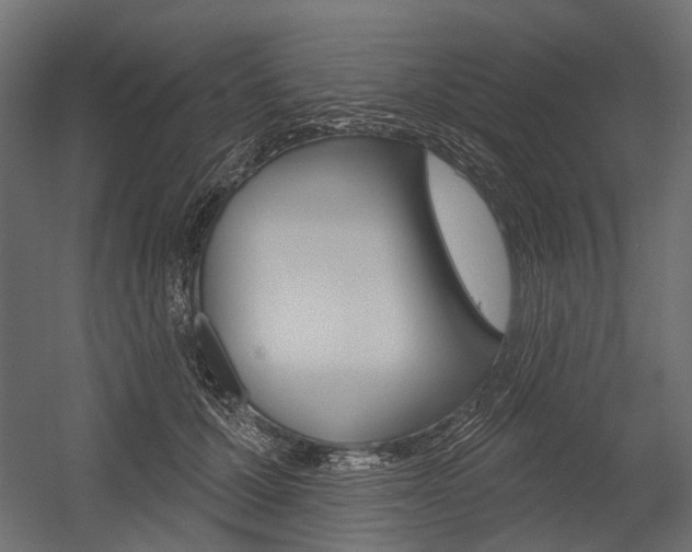 X0000054460607200507291023