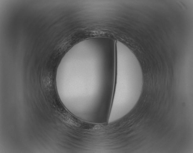 X0000054460608200507291023