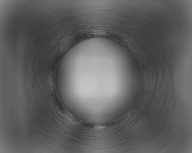 X0000054460609200507291023