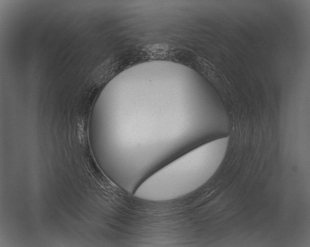 X0000054460610200507291023