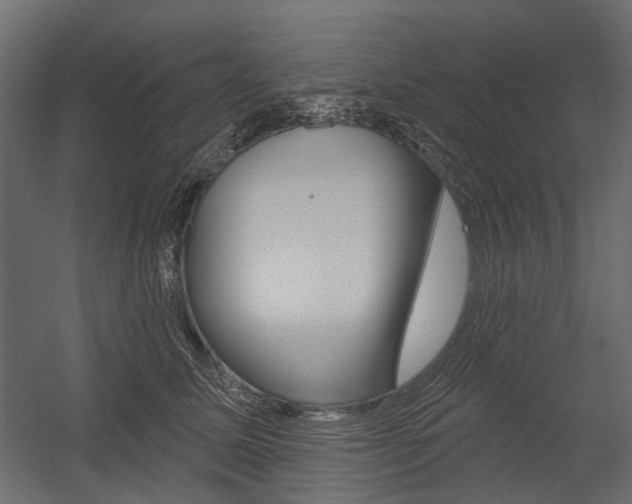 X0000054460611200507291023