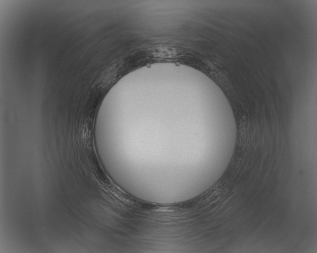 X0000054460614200507291023