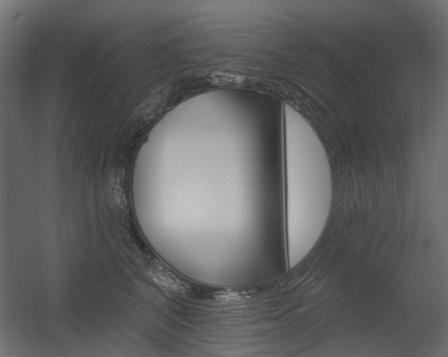 X0000054460616200507291023