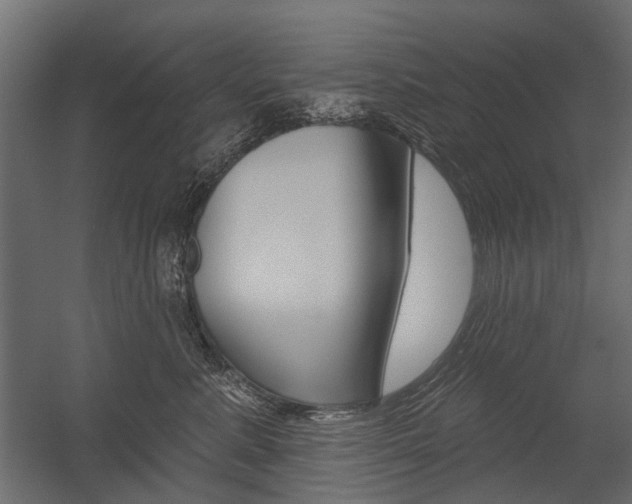 X0000054460619200507291023