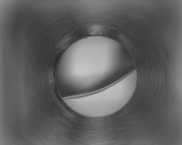 X0000054460620200507291023