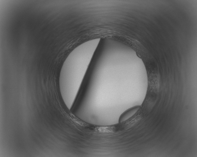 X0000054460622200507291023
