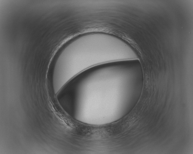 X0000054460628200507291022