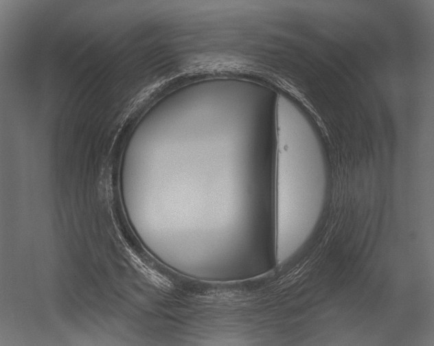 X0000054460629200507291022