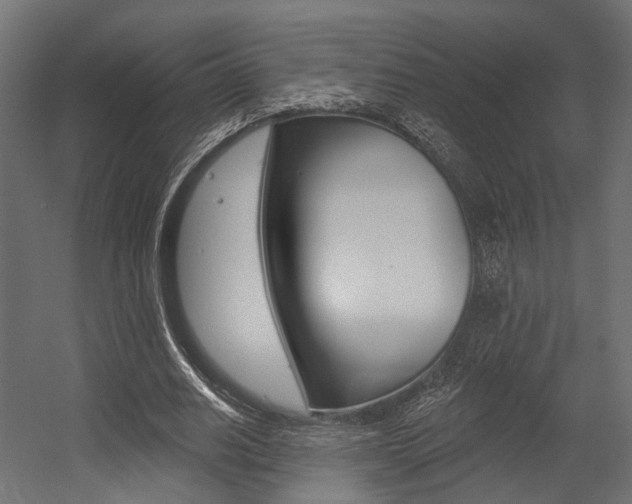 X0000054460630200507291022