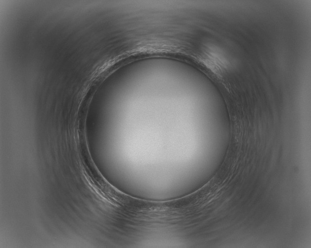X0000054460631200507291022