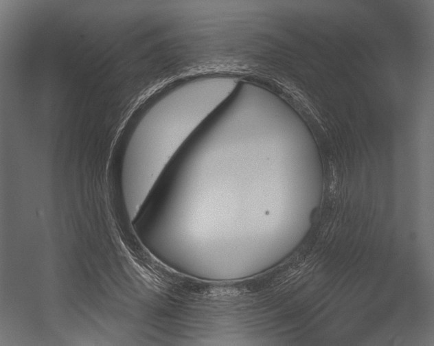 X0000054460636200507291022