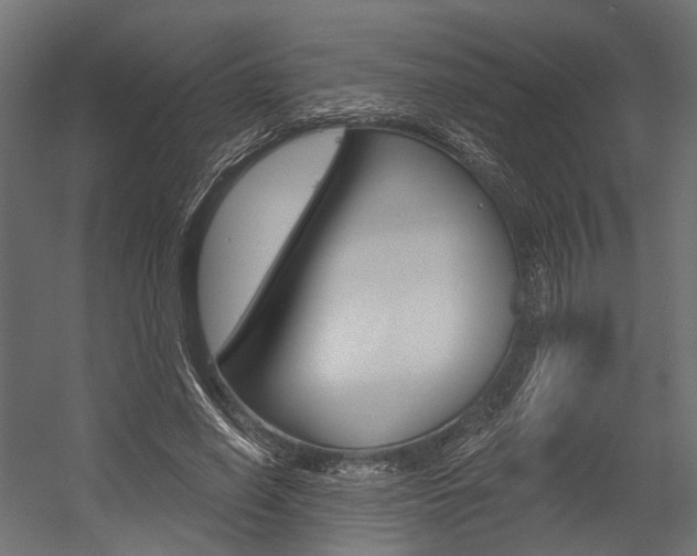 X0000054460638200507291022