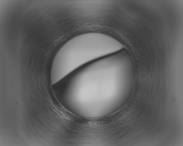 X0000054460641200507291022