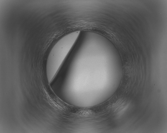 X0000054460642200507291022