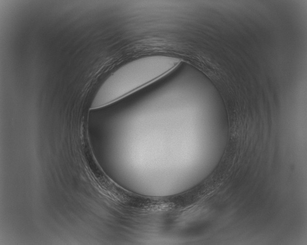 X0000054460646200507291022