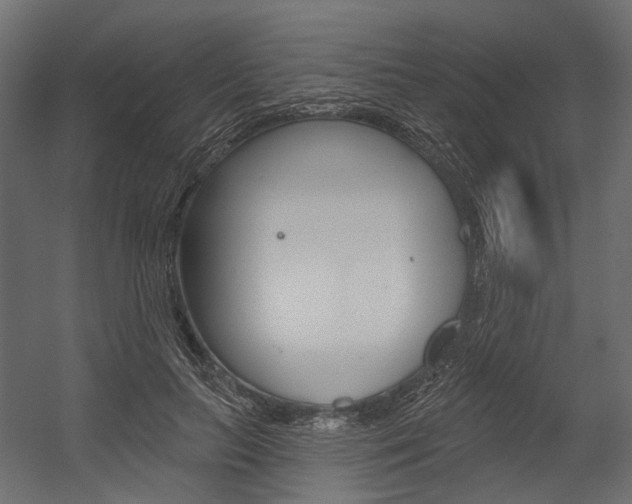 X0000054460647200507291022