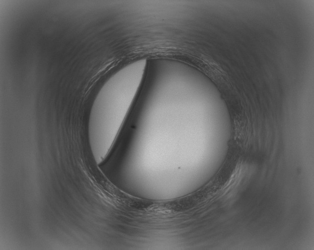 X0000054460648200507291022