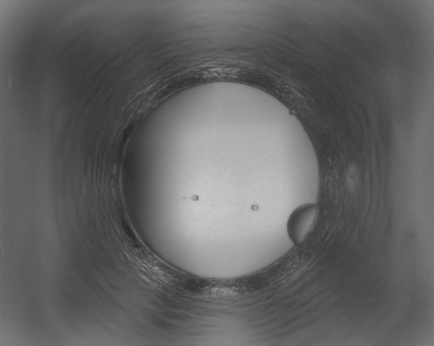X0000054460649200507291022