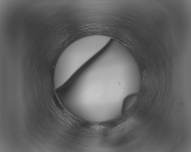 X0000054460650200507291022