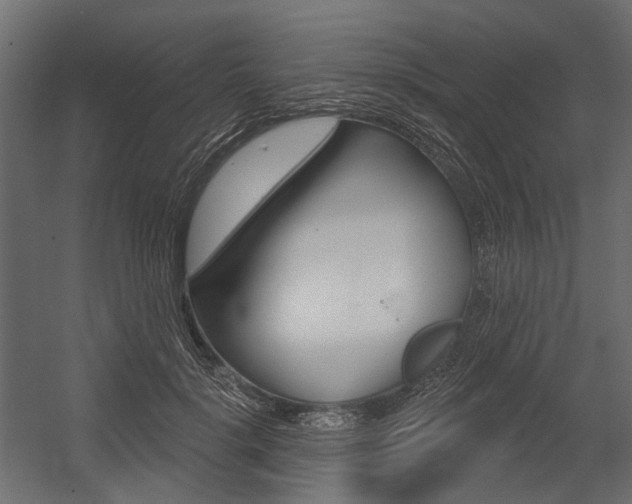 X0000054460652200507291022