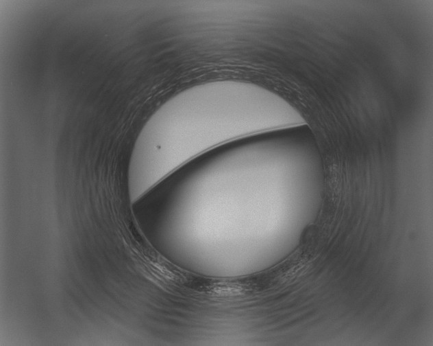 X0000054460653200507291022