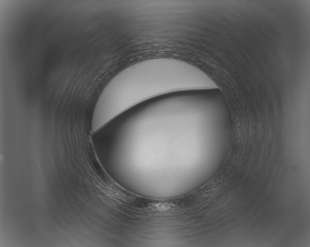 X0000054460654200507291022