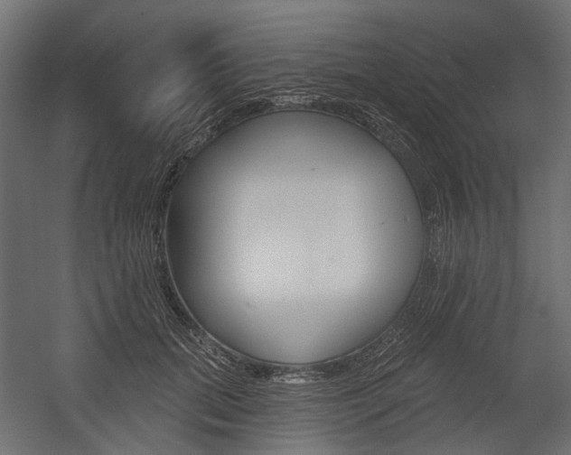 X0000054460655200507291022