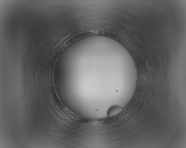 X0000054460656200507291022