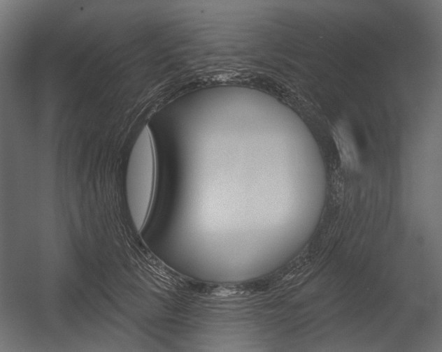 X0000054460657200507291022