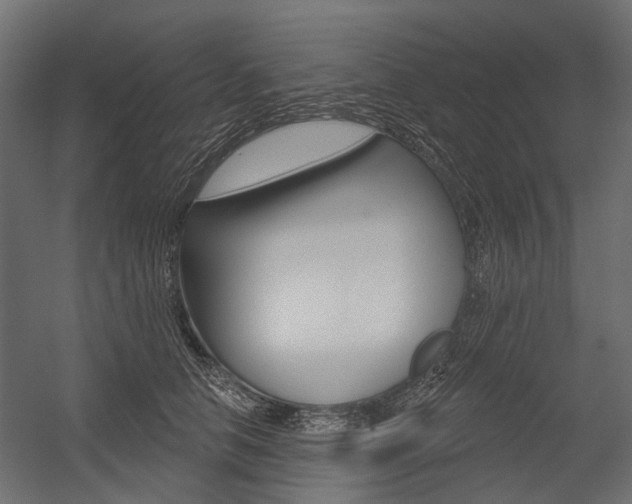 X0000054460658200507291022