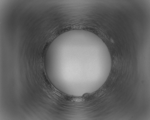 X0000054460659200507291022