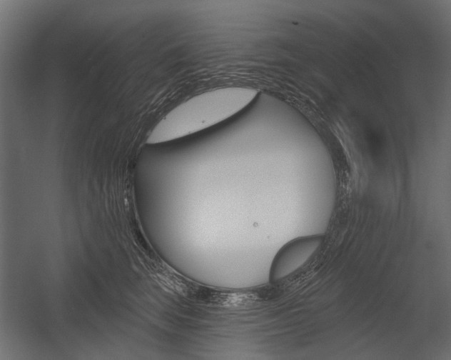 X0000054460663200507291023