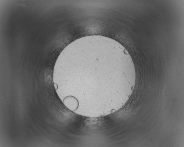 X0000054460672200507291023