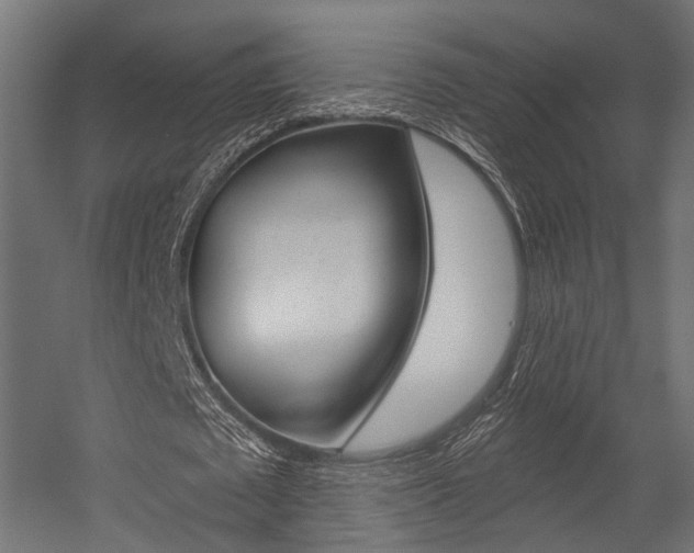 X0000054460673200507291022