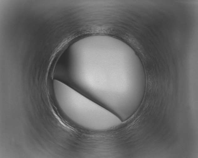 X0000054460674200507291022