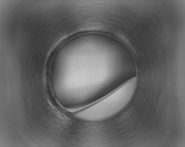 X0000054460676200507291022