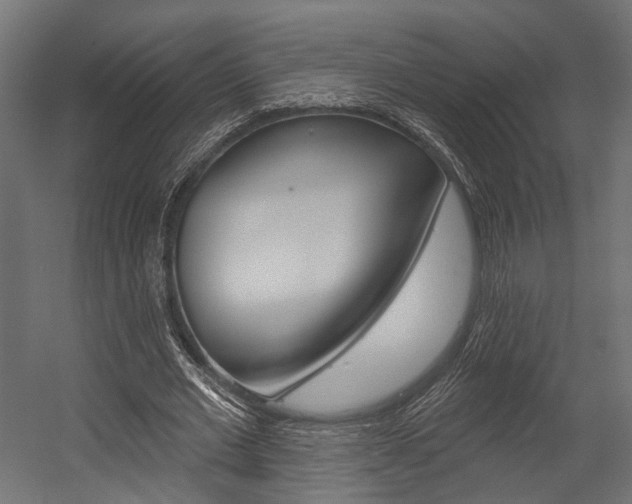 X0000054460677200507291022