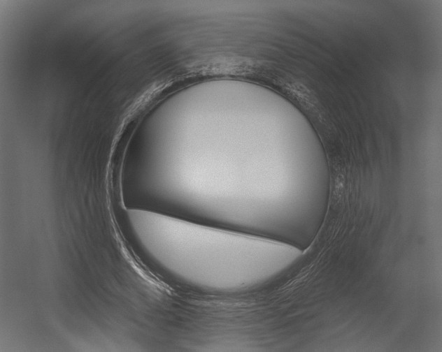 X0000054460678200507291022