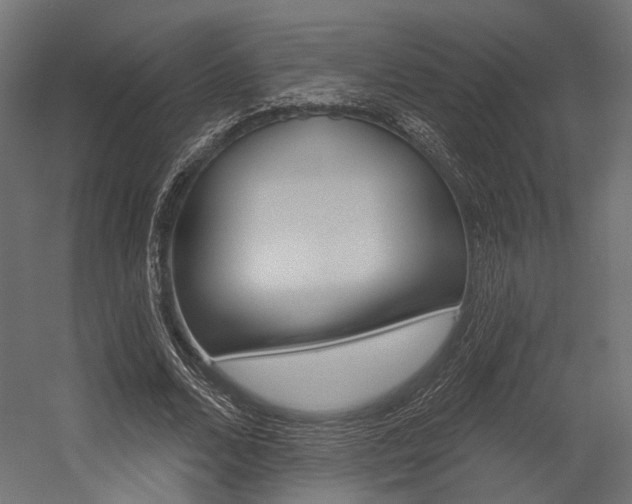 X0000054460680200507291022