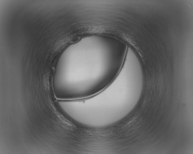 X0000054460681200507291022