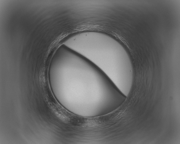 X0000054460682200507291022