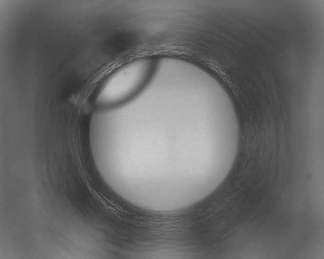 X0000054460683200507291022